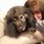 Barbara Schendel's profile image
