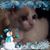 Cathy Illenberg's profile image