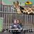 Heide-Mike Mason's profile image