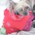 Susan Metcalfe Porter's profile image