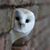 James Pennington's profile image
