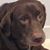 Tom Faucett's profile image