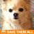 Bridget Donovan's profile image