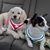 Cindy Dean Eckstein's profile image