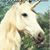 Pam Ballam's profile image