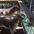 Kathy Perry Hart's profile image