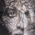 Jeannie Chafin's profile image
