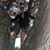 Lauren Cooper Mitrani's profile image