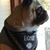 Susan M. Patterson's profile image