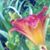 Peggy Sue Yost's profile image