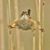 Nancy Sievert's profile image