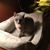 Val Norets's profile image