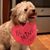 Jeanette Fogarty Ellis's profile image