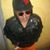 Mario Hernandez Leon's profile image
