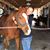 Gale Allen's profile image