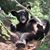 Mary Deyarmin's profile image