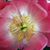 Ecir Acire's profile image