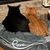 Michelle DesRosiers Bageris's profile image