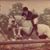 Paddy Barchi's profile image