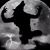 James Woodhams's profile image