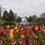 Cynthia Donisi's profile image