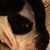 William O'Connell's profile image