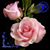Joyce Satterfield's profile image