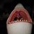 Jenifer Vincent's profile image