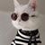 Andrea Matott's profile image