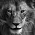 Mark Russell-Hill's profile image
