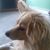 BrendaBrian Dotterer's profile image