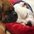 Tammy Sue Davis's profile image