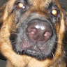 Robert K.'s profile image