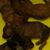 Debbie Cullum's profile image