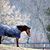 Susan L. Hall's profile image