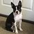 Eletha Littrell's profile image