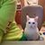 Shannon Crissey's profile image