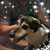 Sharon Calhoun's profile image