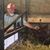Steve Swihart's profile image