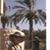 Pamela Lovegren's profile image