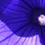 Julie Thompson's profile image