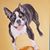 Tammy Hill's profile image
