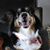 Cheryl Dickey's profile image