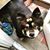 Deirdre Lightfoot's profile image