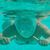 Brigitte Brunner's profile image