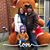 Amanda Aselin Newcome's profile image