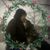 Barbara J Hockhousen's profile image
