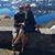 Tanja Frederickson Lane's profile image