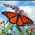 Luz Magaly Ortiz's profile image