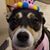Jeanne Gieldon Rasch's profile image